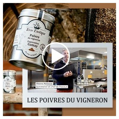 poivre du vigneron - terre exotique