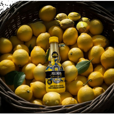 Polenghi, entreprise italienne spécialisée dans le jus de citron