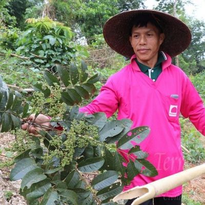 PÉRÉGRINATION AU LAOS