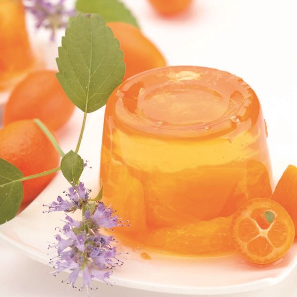 Agar agar en poudre