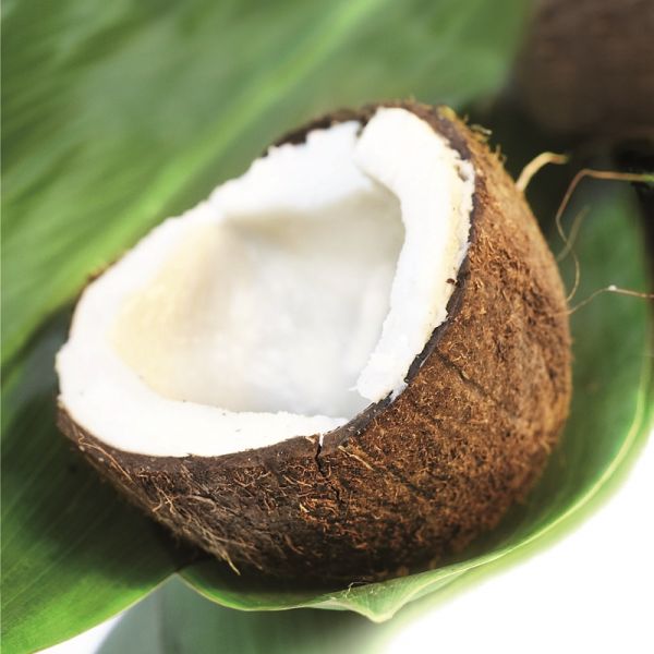 Huile de coco