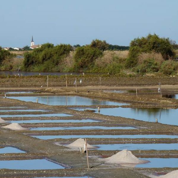 Gros sel de l'Ile de Ré