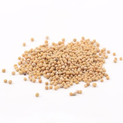 Graine de moutarde blonde