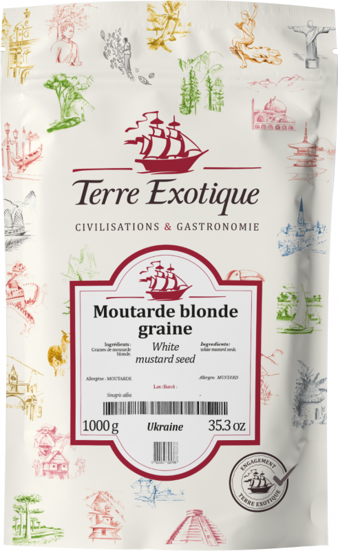 Graine de moutarde blonde