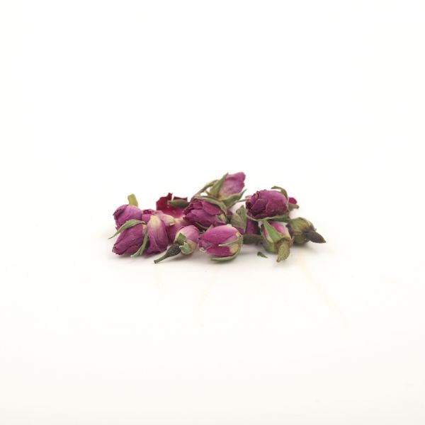 Bouton de rose
