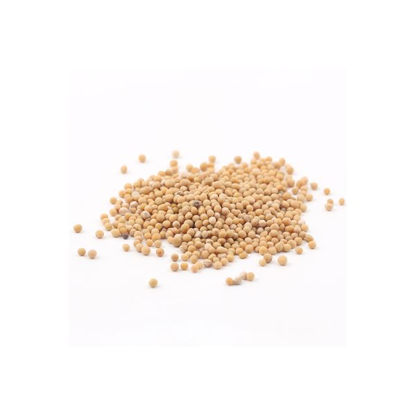 Graines de moutarde blonde